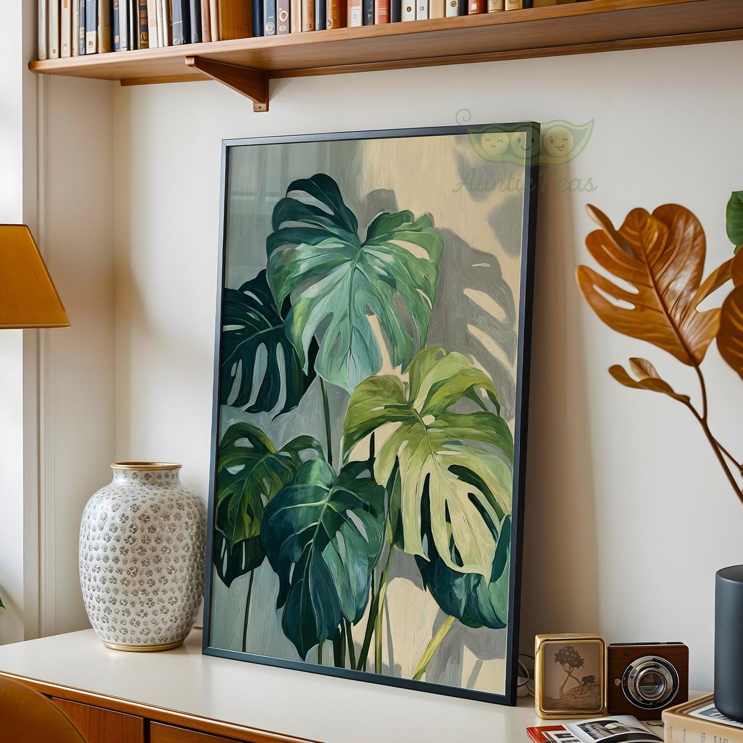 Monstera Plant