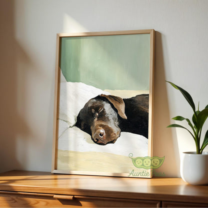Sleeping Chocolate Labrador