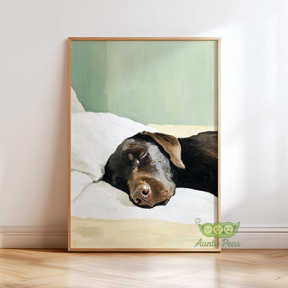 Sleeping Chocolate Labrador