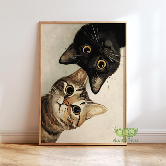 Curious Cats