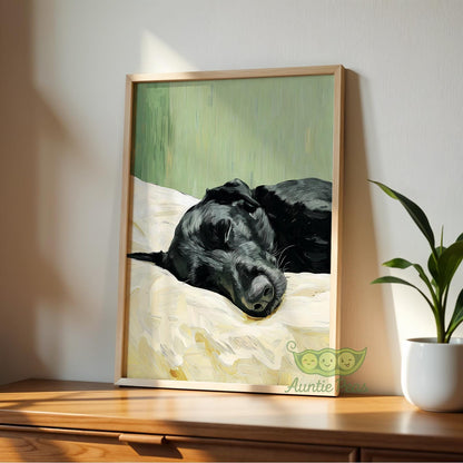Sleeping Black Labrador
