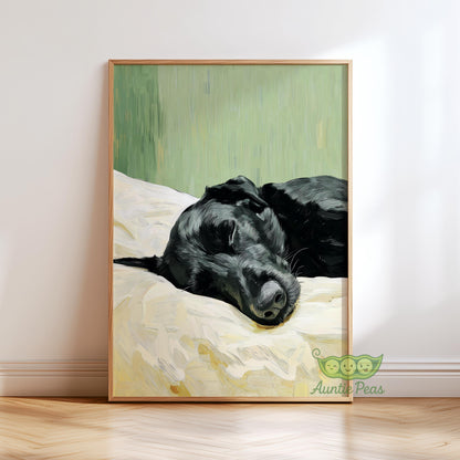 Sleeping Black Labrador