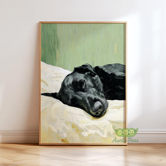 Sleeping Black Labrador