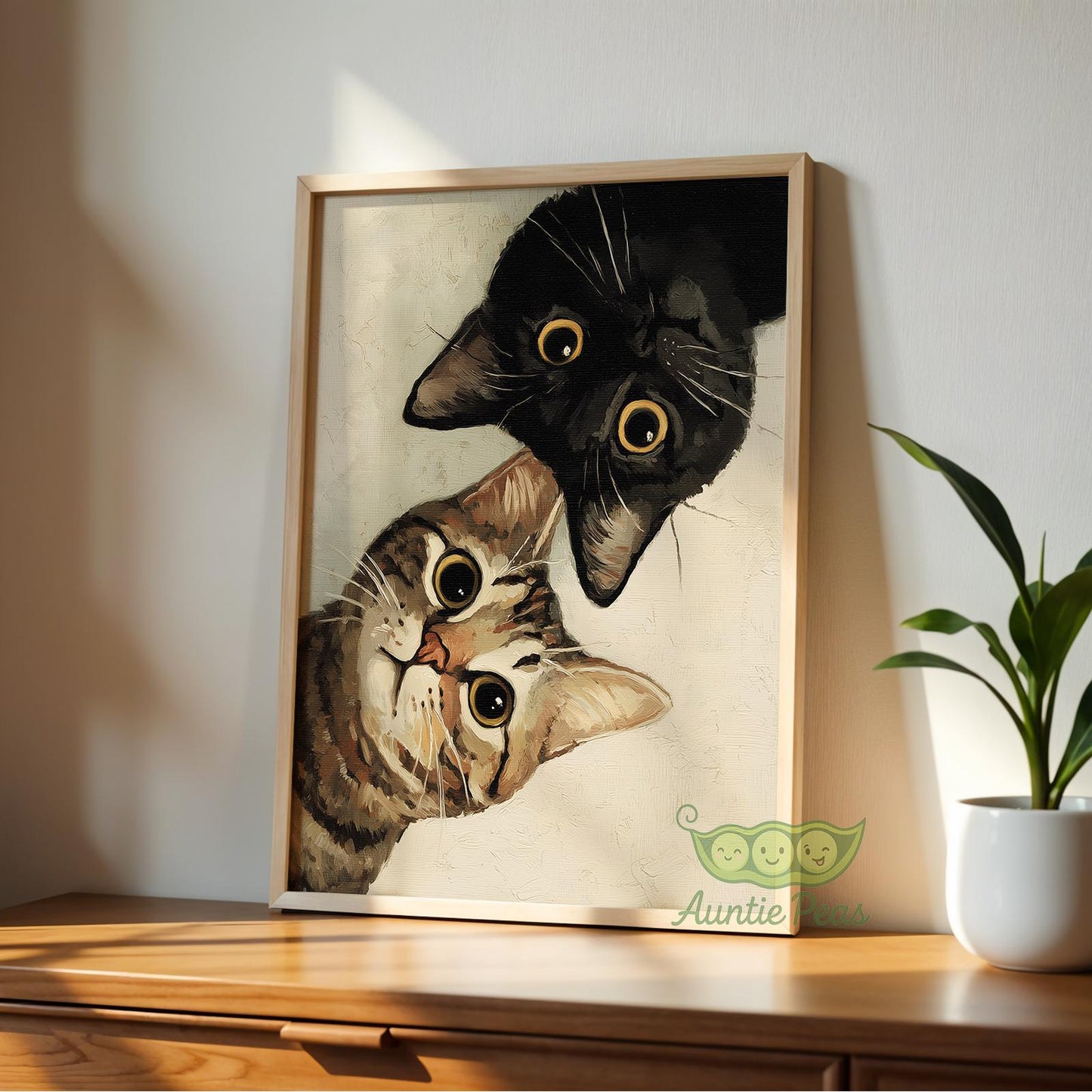 Curious Cats