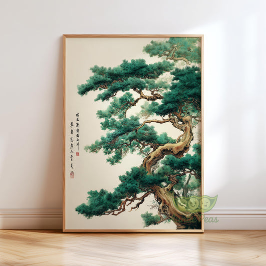 Japanese Pine Tree