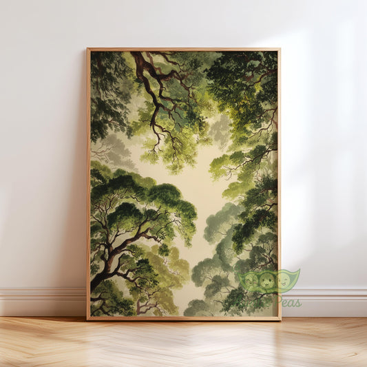 Forest Canopy